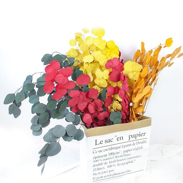 decorative flowers & wreaths natural branches eucalyptus preserved leaves dried flower for home wedding decoration
decorative flowers & wreaths natural branches eucalyptus preserved leaves dried flower for home wedding decoration