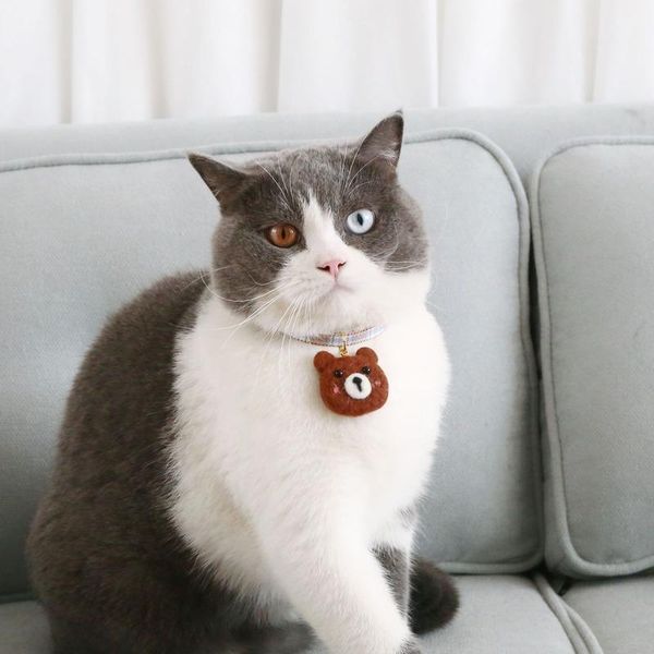 cat collars & leads pet lattice adjustable anti-suffocation collar felt bear cookie cute pendant necklace accessories supplies
cat collars & leads pet lattice adjustable anti-suffocation collar felt bear cookie cute pendant necklace accessories supplies