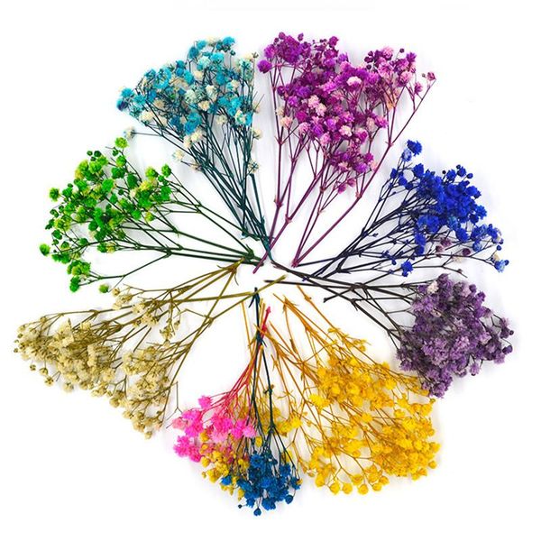 20cm natural plant dried flowers gypsophila miniature immortal bouquet for creative handmade home decoration shooting props decorative & wre
20cm natural plant dried flowers gypsophila miniature immortal bouquet for creative handmade home decoration shooting props decorative & wre