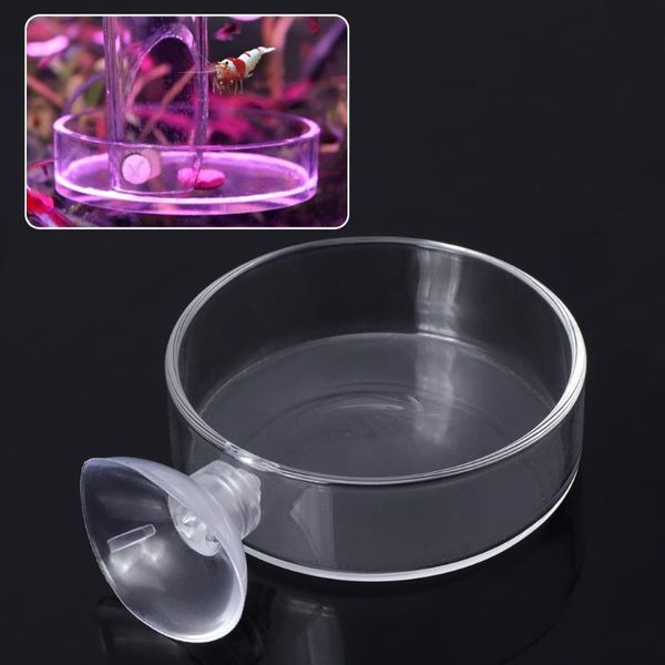 arrival fish tank feeder aquarium shrimp glass feeding bowl clear dish tray pet products decorations
arrival fish tank feeder aquarium shrimp glass feeding bowl clear dish tray pet products decorations