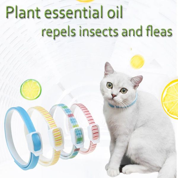 dog collars & leashes pet flea insect repellent cat essential oil collar m large circumference 54cm accessories
dog collars & leashes pet flea insect repellent cat essential oil collar m large circumference 54cm accessories