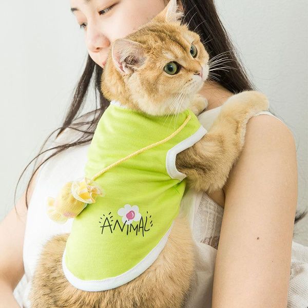 summer cat print vest casual little puppy small dog tee shirt fashion pet clothes beach sleeveless kitten t-shirt costumes
summer cat print vest casual little puppy small dog tee shirt fashion pet clothes beach sleeveless kitten t-shirt costumes