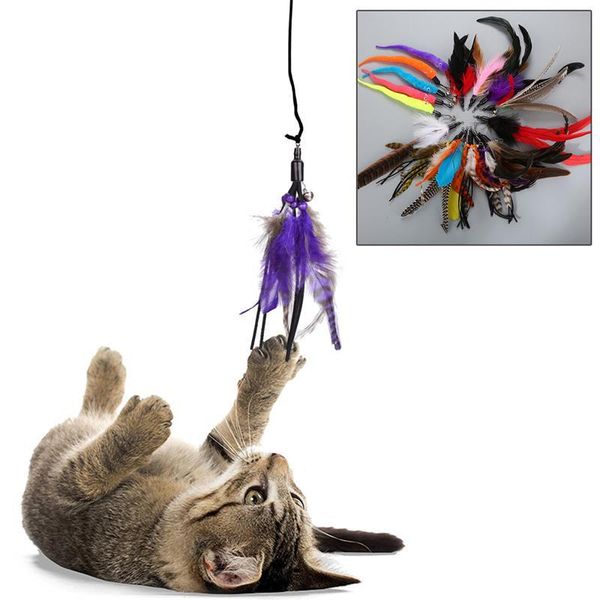 cat toys teaser retractable stick replaceable feather head wand for pet kitten coloful interactive products random color
cat toys teaser retractable stick replaceable feather head wand for pet kitten coloful interactive products random color