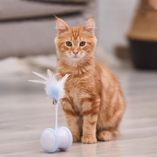 smart interactive cat toy led light glow tumbler pet 360 degree self rotating ball usb charging toys supplies
smart interactive cat toy led light glow tumbler pet 360 degree self rotating ball usb charging toys supplies