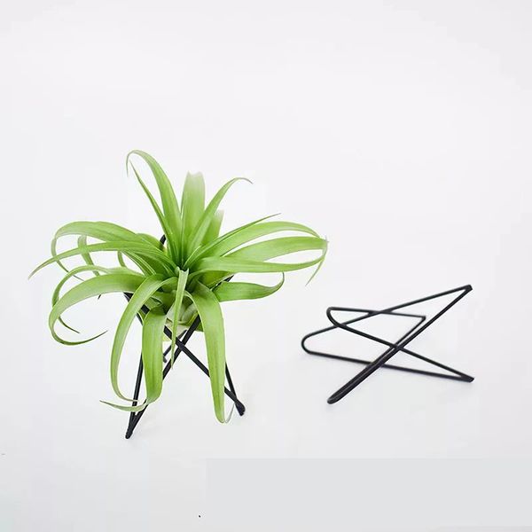 planters & pots geometric tillandsia air plant holder home decor office indoor outdoor iron art display garden ornaments table flower stand
planters & pots geometric tillandsia air plant holder home decor office indoor outdoor iron art display garden ornaments table flower stand