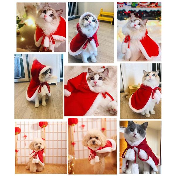 dog apparel creative pet cloak christmas halloween funny cat clothes
dog apparel creative pet cloak christmas halloween funny cat clothes