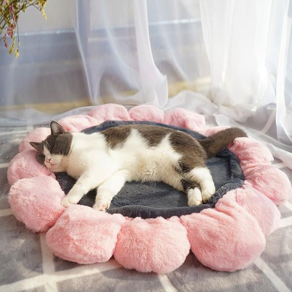 cat beds & furniture cat's nest cushion hair flower air permeable bed sleeping dog pad plush warm comfortable pet supplies
cat beds & furniture cat's nest cushion hair flower air permeable bed sleeping dog pad plush warm comfortable pet supplies