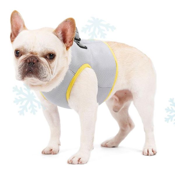 dog apparel summer cooling vest harness for dogs adjustable pet mesh harnesses quick release outdoor accessories
dog apparel summer cooling vest harness for dogs adjustable pet mesh harnesses quick release outdoor accessories