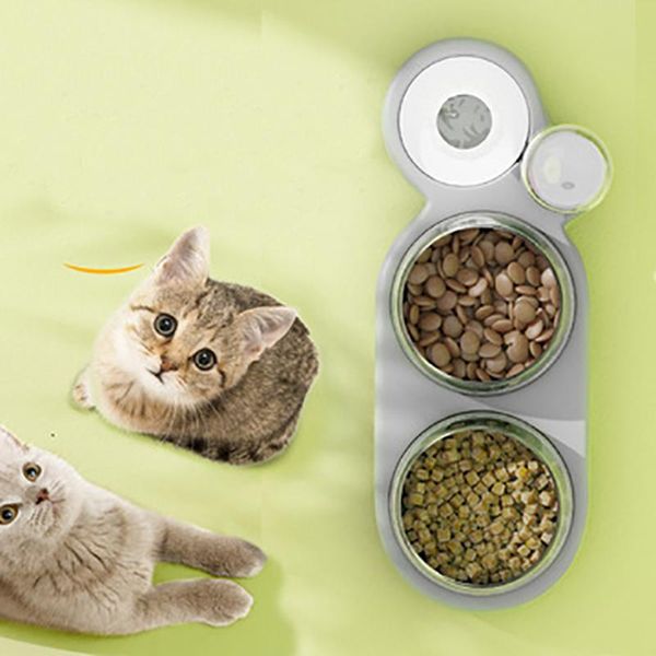cat bowls & feeders pet bowl automatic feeder double a dog food water stainless steel drinking dish for small puppy
cat bowls & feeders pet bowl automatic feeder double a dog food water stainless steel drinking dish for small puppy