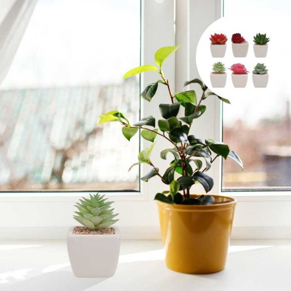 decorative flowers & wreaths 6pcs faux succulent artificial fake simulation plants in square white ceramic pots (assorted pattern)
decorative flowers & wreaths 6pcs faux succulent artificial fake simulation plants in square white ceramic pots (assorted pattern)