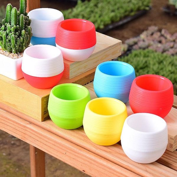 mini plastic pots for flowers round basin succulent plant colourful nursery deskflower home decor garden supplies planters &
mini plastic pots for flowers round basin succulent plant colourful nursery deskflower home decor garden supplies planters &