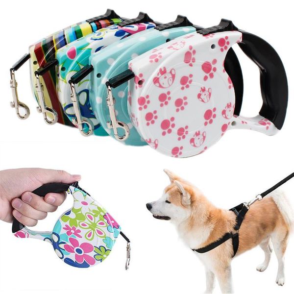 dog collars & leashes 5 meters long leash pet supplies automatic traction belt sturdy and durable cat shopping rope
dog collars & leashes 5 meters long leash pet supplies automatic traction belt sturdy and durable cat shopping rope