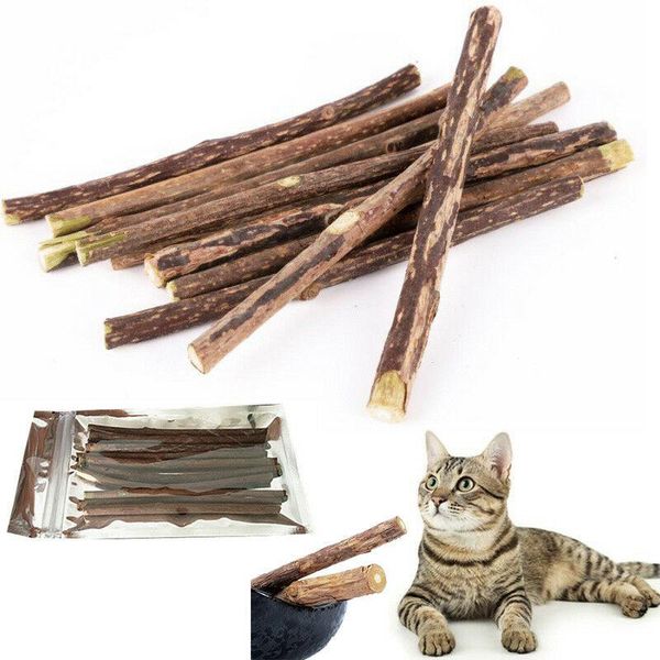 cat toys 20pcs natural catnip pet molar stick chewing cleaning teeth supplies tooth rod
cat toys 20pcs natural catnip pet molar stick chewing cleaning teeth supplies tooth rod