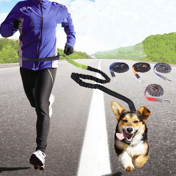 hands dog leash for running walking training belt accessories include waterproof waist pack and nylon retractable collars & leashes
hands dog leash for running walking training belt accessories include waterproof waist pack and nylon retractable collars & leashes