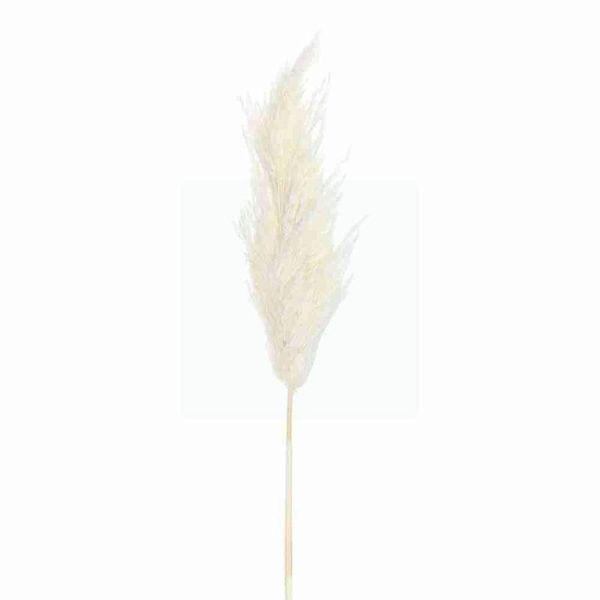 decorative flowers & wreaths 1 pc natural dried reed flower bouquet artificial pink pampas grass fake plant decoration for home wedding d g5
decorative flowers & wreaths 1 pc natural dried reed flower bouquet artificial pink pampas grass fake plant decoration for home wedding d g5