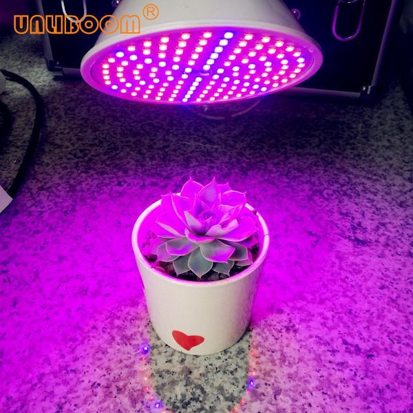 indoor phyto lamp full spectrum grow light e27 with clip for plants hydroponics system vegetables flower greenhouse lights
indoor phyto lamp full spectrum grow light e27 with clip for plants hydroponics system vegetables flower greenhouse lights