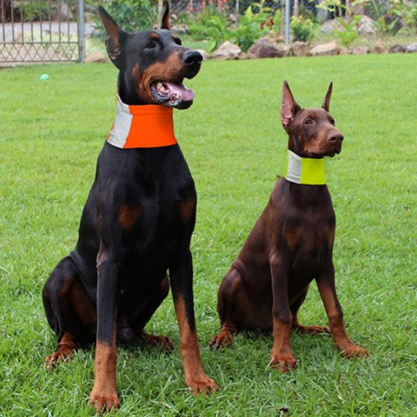 pet dog cat neck scarf tie bowtie necktie triangular bandage safety reflecting neckerchief collars & leashes
pet dog cat neck scarf tie bowtie necktie triangular bandage safety reflecting neckerchief collars & leashes