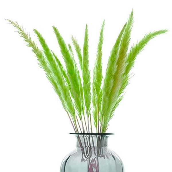 decorative flowers & wreaths dried pampas grass decor wedding flower bunch natural plants for home christmas decorati decoration store
decorative flowers & wreaths dried pampas grass decor wedding flower bunch natural plants for home christmas decorati decoration store