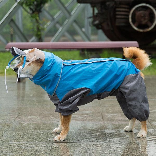 dog apparel retriever four feet waterproof raincoat shiba inu medium-sized wood large-sized samoyed labrador rainy day clothes
dog apparel retriever four feet waterproof raincoat shiba inu medium-sized wood large-sized samoyed labrador rainy day clothes