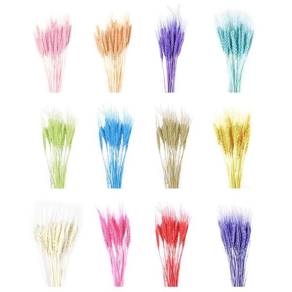 decorative flowers & wreaths 30pcs real wheat ear flower natural dried for wedding party decoration diy craft scrapbook home decor bouquet
decorative flowers & wreaths 30pcs real wheat ear flower natural dried for wedding party decoration diy craft scrapbook home decor bouquet
