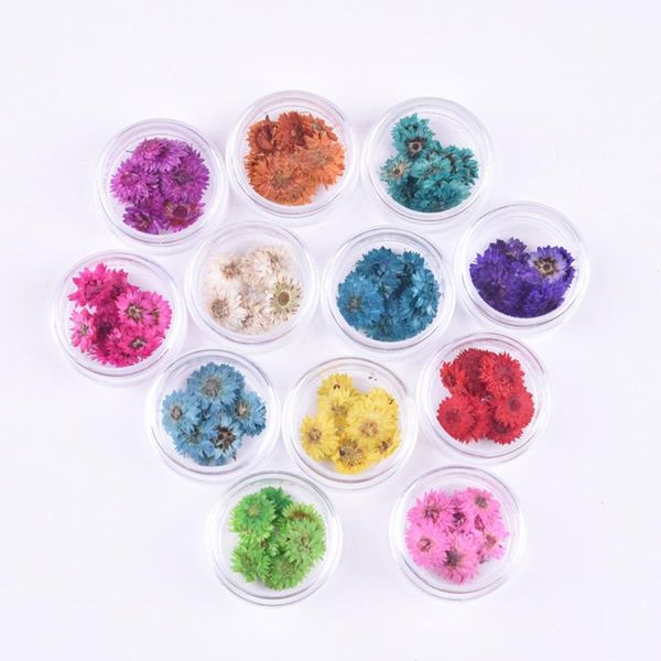 decorative flowers & wreaths exquisite nail dried flower small chrysanthemum pressed embossed petal natural material 10pcs/box
decorative flowers & wreaths exquisite nail dried flower small chrysanthemum pressed embossed petal natural material 10pcs/box