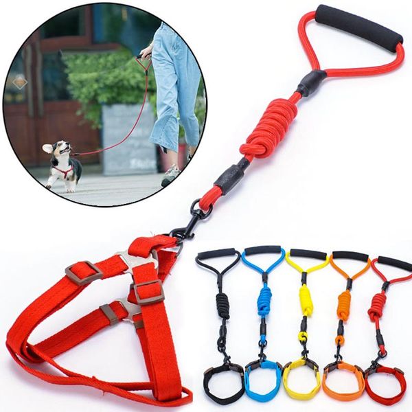 dog collars & leashes adjustable small medium vest harnesses for dogs durable nylon pet harness and leash set puppy chain arnes perro median
dog collars & leashes adjustable small medium vest harnesses for dogs durable nylon pet harness and leash set puppy chain arnes perro median