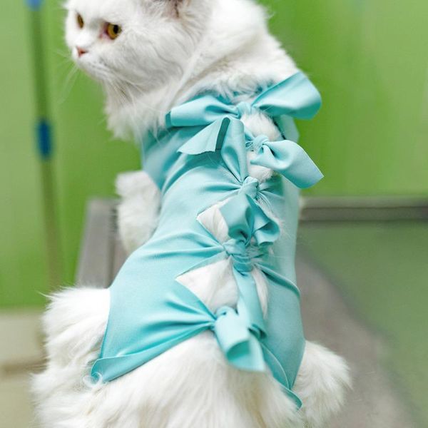 cat recovery suit after elastic professional bandage shirt costume for puppy kitten neutered/abdominal wound costumes
cat recovery suit after elastic professional bandage shirt costume for puppy kitten neutered/abdominal wound costumes