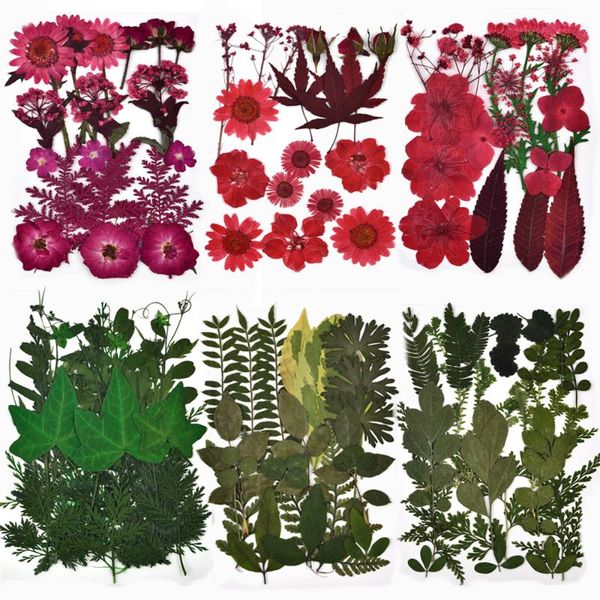 decorative flowers & wreaths 1 bag real dried flower dry plants for candle epoxy resin pendant necklace jewelry making craft diy silicone mo
decorative flowers & wreaths 1 bag real dried flower dry plants for candle epoxy resin pendant necklace jewelry making craft diy silicone mo