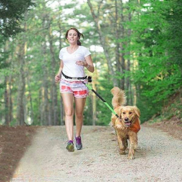leashes pet dog traction rope running belt reflective elastic hands walk use solid adjust outdoor #t2p collars &
leashes pet dog traction rope running belt reflective elastic hands walk use solid adjust outdoor #t2p collars &