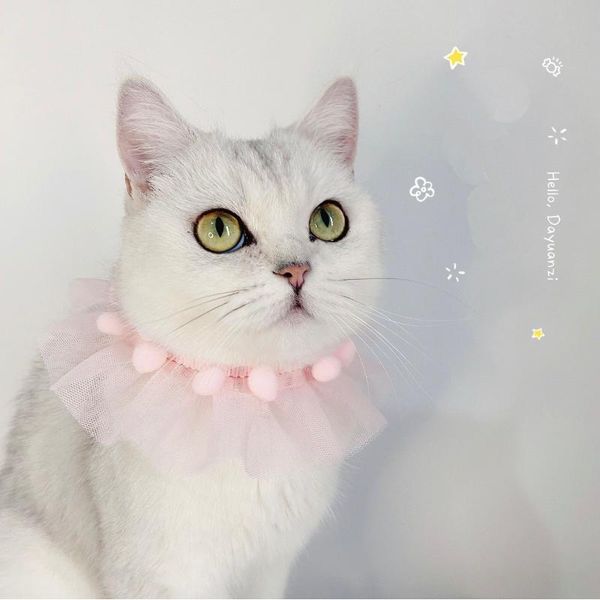 cat costumes pet dog adjustable neckerchief neck decoration scarf saliva towel cartoon princess accessories year supplies n48
cat costumes pet dog adjustable neckerchief neck decoration scarf saliva towel cartoon princess accessories year supplies n48