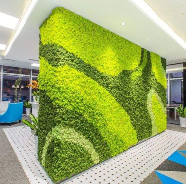 decorative flowers & wreaths 20g artificial plant eternal life moss garden home decor wall diy flower material mini micro landscape accessor
decorative flowers & wreaths 20g artificial plant eternal life moss garden home decor wall diy flower material mini micro landscape accessor