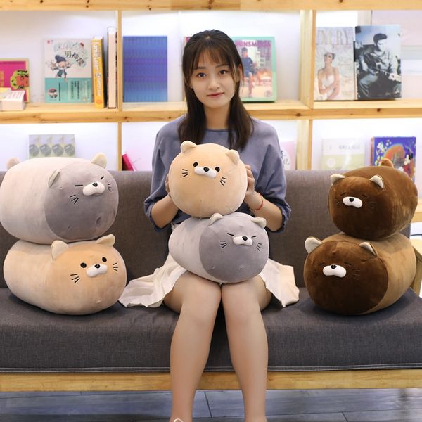 angry cat stuffed doll cute fatty animals huggable cats pillow grey brown 40/50cm down cot kids giftton filled plushie
angry cat stuffed doll cute fatty animals huggable cats pillow grey brown 40/50cm down cot kids giftton filled plushie