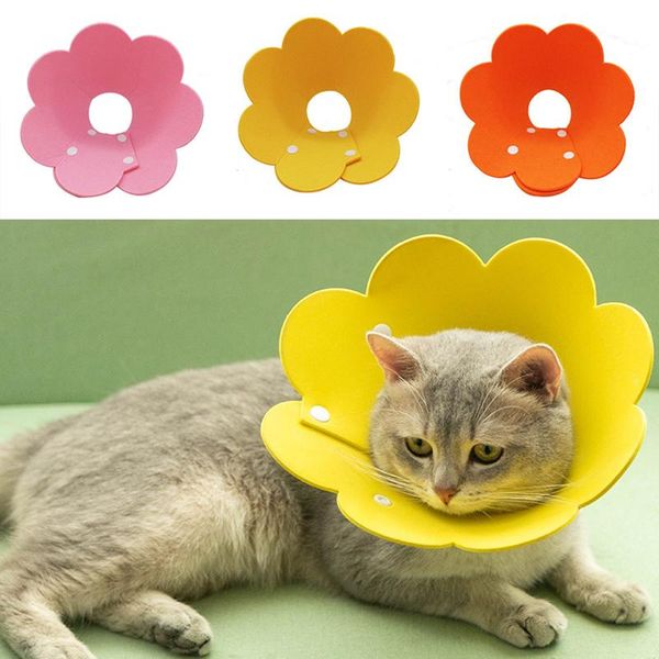 dog collars & leashes beautiful flower shaped pet wound healing collar protection cat recovery solid simplicity anti-bite accessories
dog collars & leashes beautiful flower shaped pet wound healing collar protection cat recovery solid simplicity anti-bite accessories