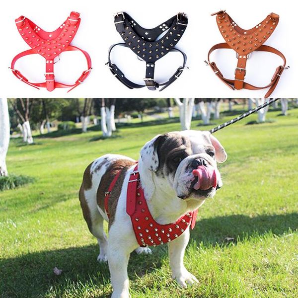 dog collars & leashes pets cat dogs basic halter harnesses adjustable pet supplies solid rivets safety
dog collars & leashes pets cat dogs basic halter harnesses adjustable pet supplies solid rivets safety
