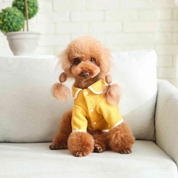 dog cloth cat cardigan sweater autumn winter psh warm pet japane and korean products
dog cloth cat cardigan sweater autumn winter psh warm pet japane and korean products