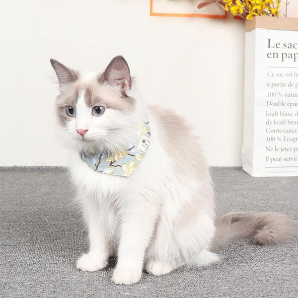 cat costumes factory direct sales pet saliva towel dog collar bib small flower single triangle scarf spot wholesale accessories
cat costumes factory direct sales pet saliva towel dog collar bib small flower single triangle scarf spot wholesale accessories