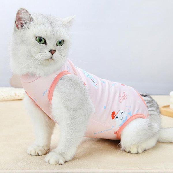 dog apparel physiological pants cat sterilization gown clothes shorts panties washable diaper female panpers de perros
dog apparel physiological pants cat sterilization gown clothes shorts panties washable diaper female panpers de perros