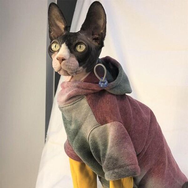 cat costumes pet sweatshirt puppy autumn and winter padded warm thick casual clothes british shorthair fashion tie dye hoodie
cat costumes pet sweatshirt puppy autumn and winter padded warm thick casual clothes british shorthair fashion tie dye hoodie