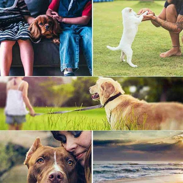 anti-lost alarm pet collar smart gps tracker safety fence device cat wallet kids dog monitor long remote locator standby for v3c8
anti-lost alarm pet collar smart gps tracker safety fence device cat wallet kids dog monitor long remote locator standby for v3c8