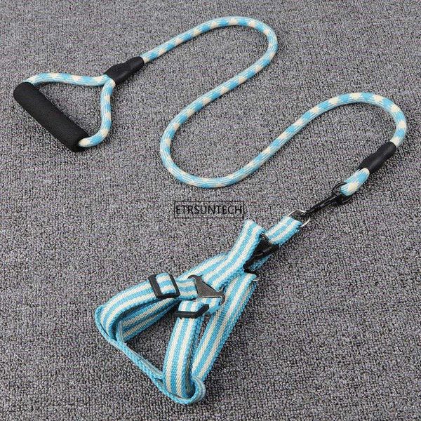 dog collars & leashes 50pcs protable pet harness leash set thickening cotton purse perfect for daily
dog collars & leashes 50pcs protable pet harness leash set thickening cotton purse perfect for daily