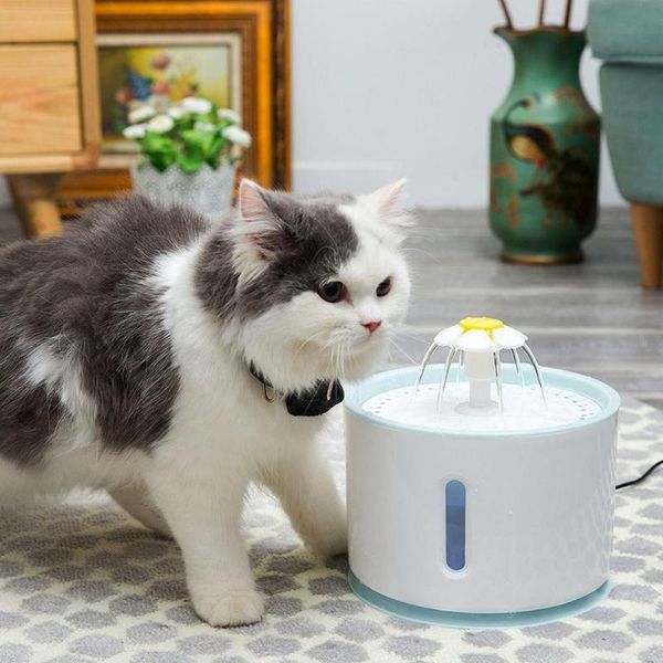 automatic luminous pets water fountain for cats dogs usb electric dispenser drinker feeder bowls cat & feeders
automatic luminous pets water fountain for cats dogs usb electric dispenser drinker feeder bowls cat & feeders
