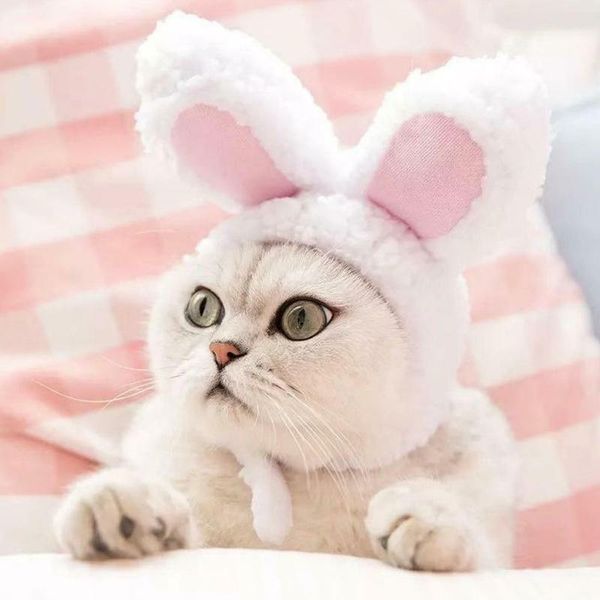 dog apparel 1pc ear cap cat po props headwear party christmas cosplay pet accessories
dog apparel 1pc ear cap cat po props headwear party christmas cosplay pet accessories