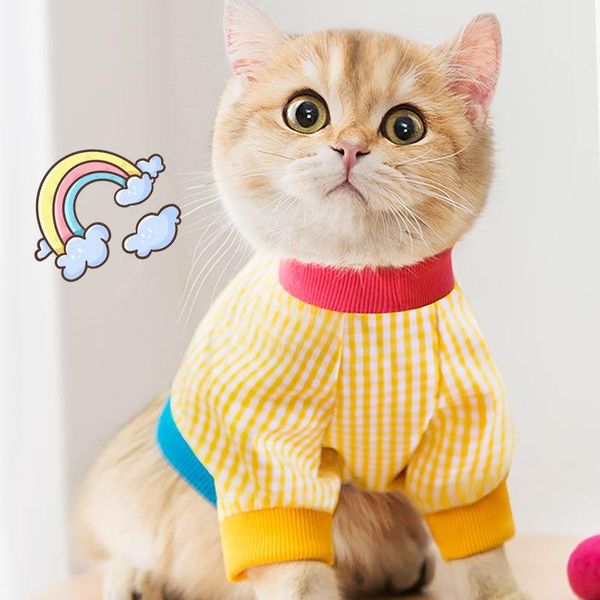 spring and summer pet two-footed clothing bump color t-shirt cat small dog pups clothes costumes
spring and summer pet two-footed clothing bump color t-shirt cat small dog pups clothes costumes