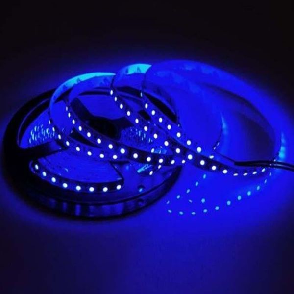 5m non-waterproof 120 led/m 3528 smd 12v flexible light led/m, led strip white/warm white/blue/green/red/yellow strips
5m non-waterproof 120 led/m 3528 smd 12v flexible light led/m, led strip white/warm white/blue/green/red/yellow strips