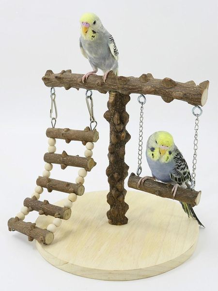other bird supplies parrot pepper game rack toy training stand playground climbing ladder swing
other bird supplies parrot pepper game rack toy training stand playground climbing ladder swing