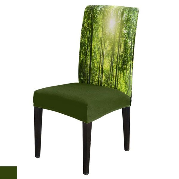 chair covers dining room cover green bamboo sun plant table chairs for kitchen tablecloth home decor
chair covers dining room cover green bamboo sun plant table chairs for kitchen tablecloth home decor