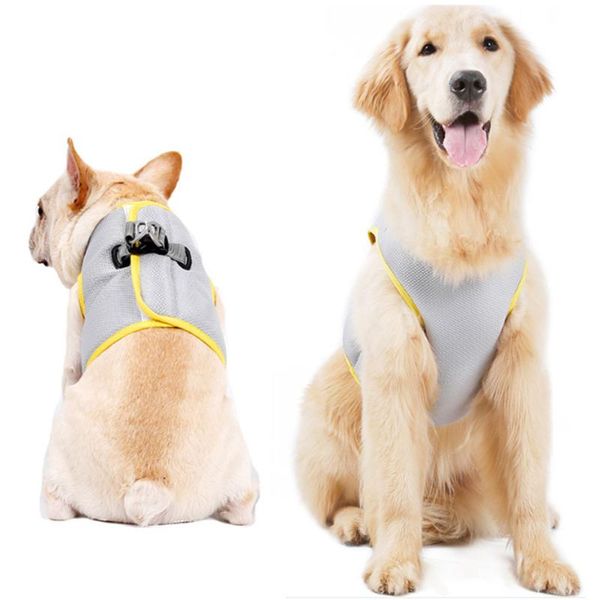 dog apparel summer pet comfortable breathable cooling camisole adjustable mesh cooler jacket clothes quick release costume
dog apparel summer pet comfortable breathable cooling camisole adjustable mesh cooler jacket clothes quick release costume