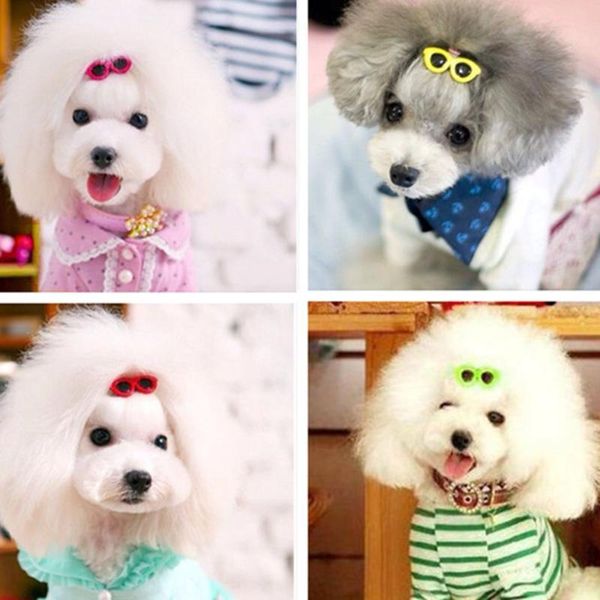 dog apparel 10 pcs/set pet grooming accessories colorful cats bows hairpin headdress clip bow hair sunglass
dog apparel 10 pcs/set pet grooming accessories colorful cats bows hairpin headdress clip bow hair sunglass