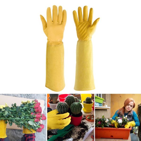 disposable gloves rose pruning thorn & cut proof long forearm protection gauntlet leather layer gardening glove for women/men
disposable gloves rose pruning thorn & cut proof long forearm protection gauntlet leather layer gardening glove for women/men