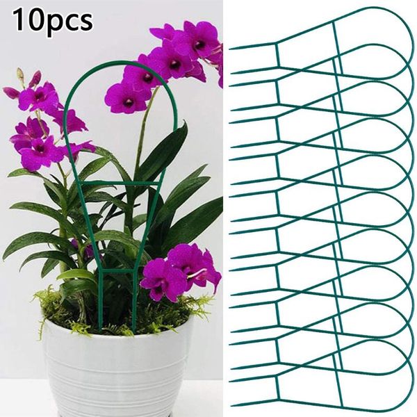 other garden supplies plant support plastic reliable set trellis 10pcs bracket 
other garden supplies plant support plastic reliable set trellis 10pcs bracket